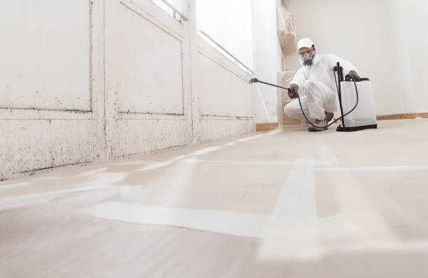 24/7 Emergency Attic Mold Removal experts in Carrollton, IL