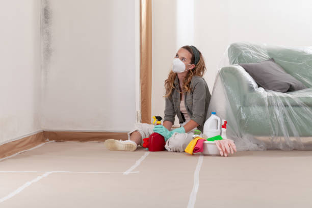 Reliable Attic Mold Removal contractor in Carrollton, IL by WQB Mold Removal